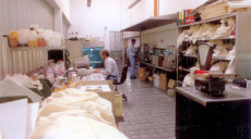 Ricerca